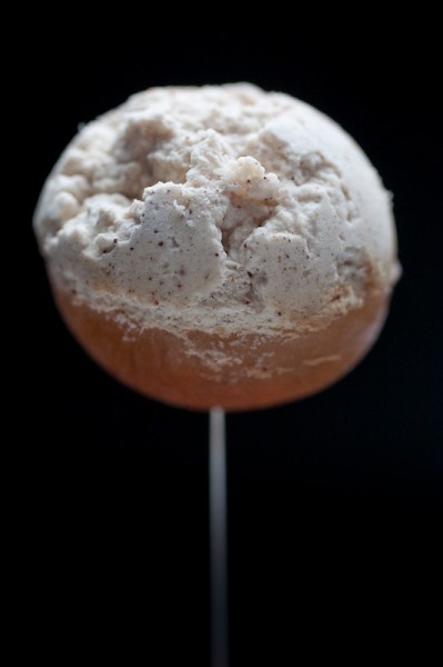 20090802_alinea_0005