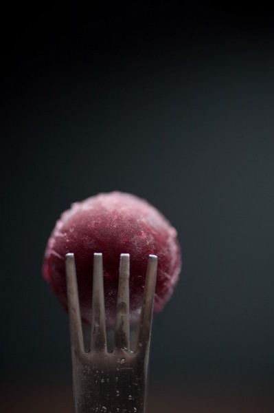 20090802_alinea_0018