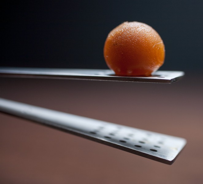 20090802_alinea_0026