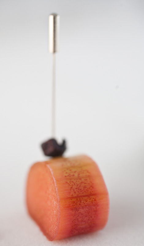 Rhubarb, Seven Different Textures. Pt. 1
