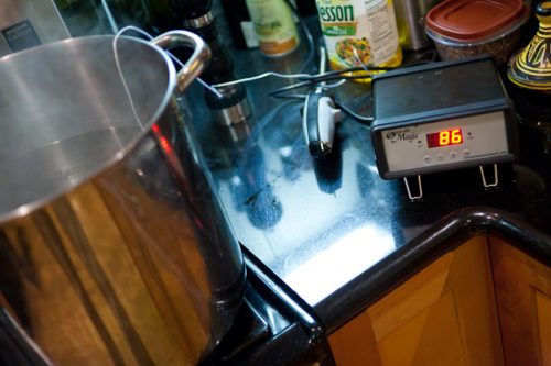 Salsify, Smoked Steelhead Roe, Parsley Root, Radish – The Alinea Project