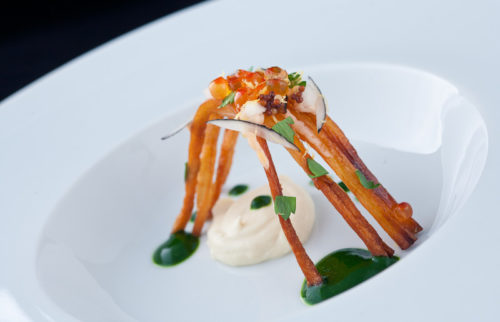 Salsify, Smoked Steelhead Roe, Parsley Root, Radish – The Alinea Project
