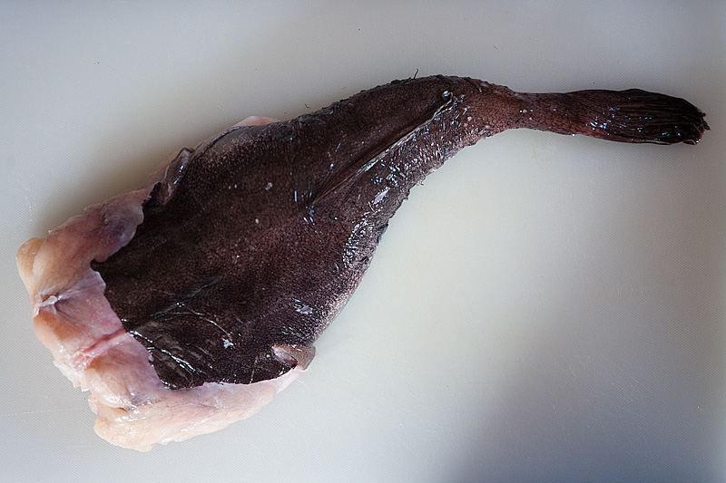 20130216_alinea_0021