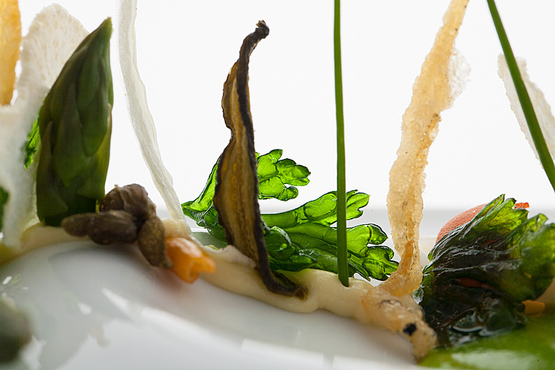 Icefish, Horseradish, Asparagus, Shellfish